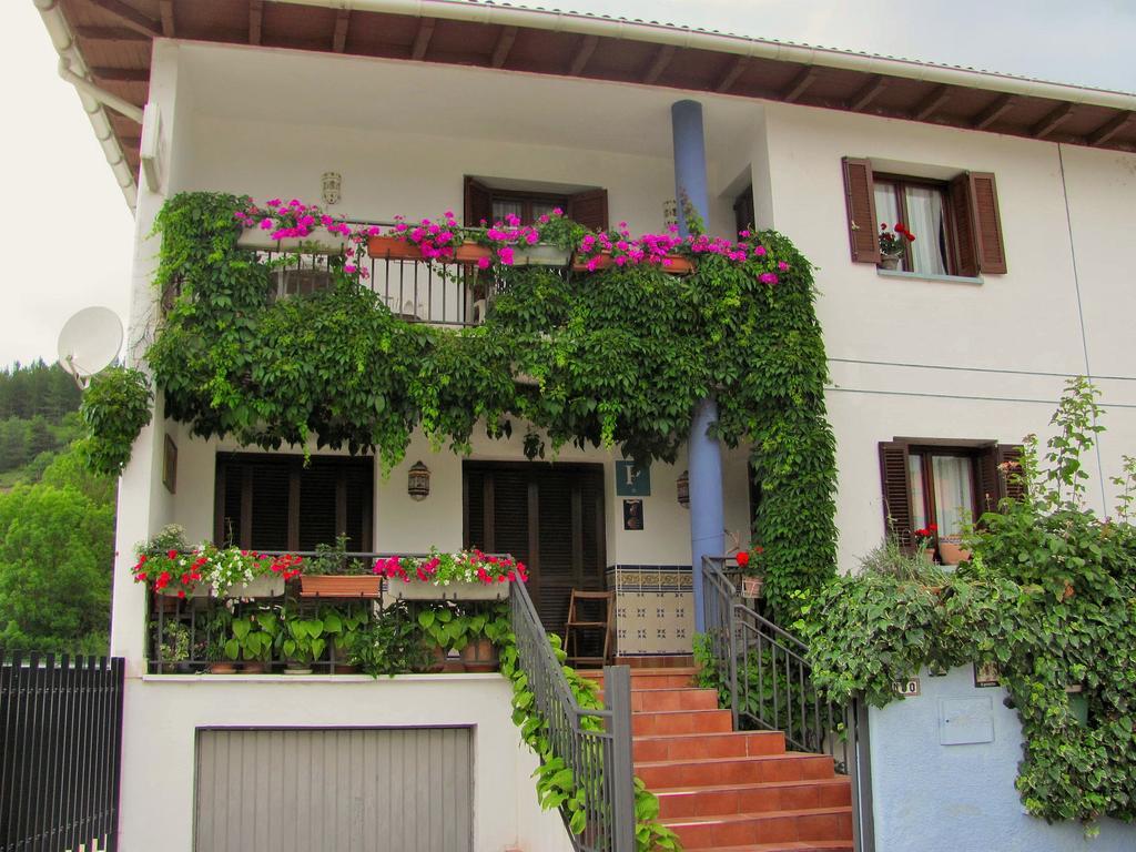 Pension El Peregrino De Larrasoana Exterior photo